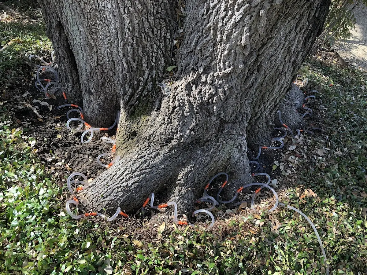Detailed Shrub and Hedge Trimming job site in Trenary