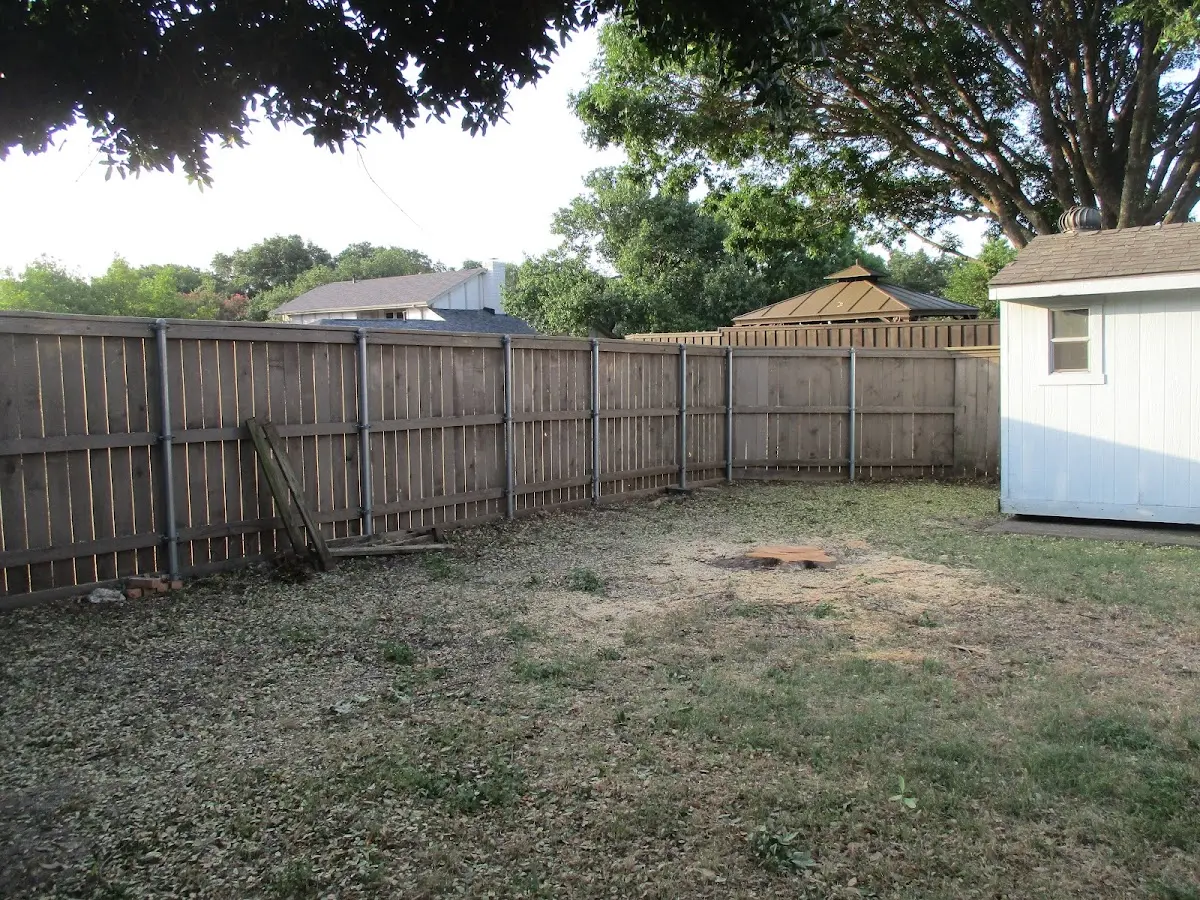 Cleared yard after professional tree removal in Trenary