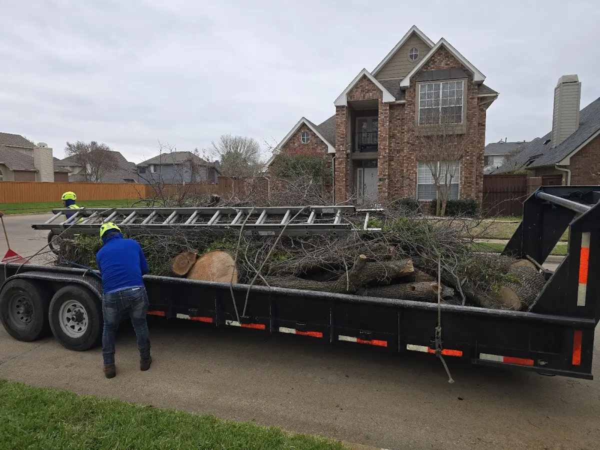 Expert Lot Clearing with proper safety equipment in Trenary